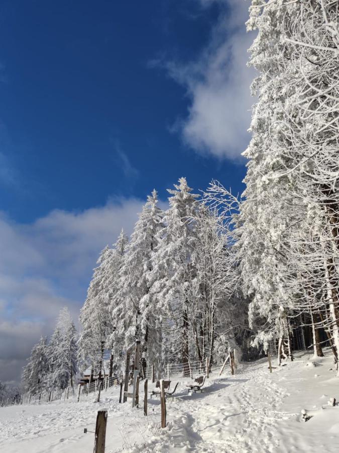 Ferienwohnung Landsmann Winterberg Bagian luar foto